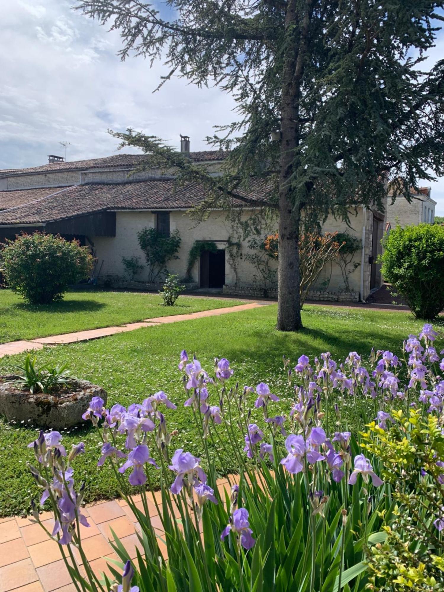 Bed and Breakfast The Cool Lounge A Coulonges - Charente Exterior foto